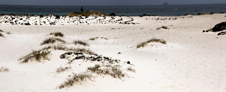 Lanzarote nord. Dune sul mare vicino ad Orzola.