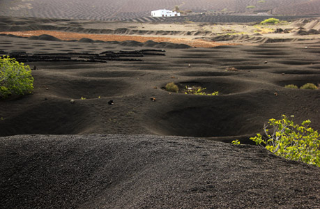 Lanzarote sud. La Geria a nord di Jaiza. Qui l'antica lava, nera calda e ricca di nutrienti, è usata per facilitare la produzione di un vino eccellente.