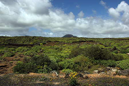 Lanzarote panorama primaverile; quando i vulcani spenti si ricoprono di verde.