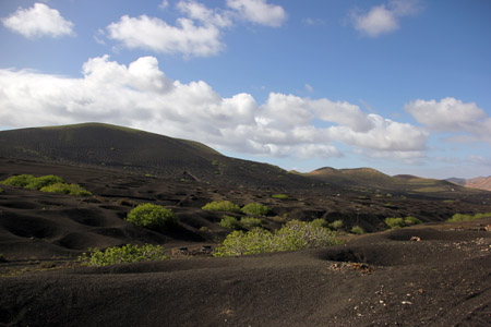 La Geria.