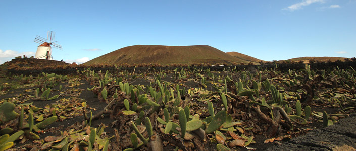 Lanzarote panorama.