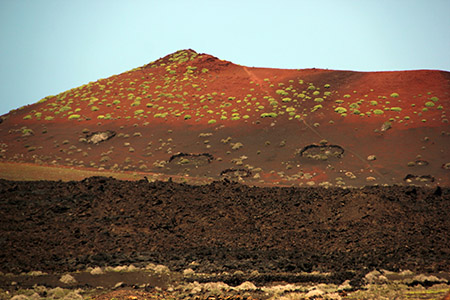 Vulcano con ciuffi di primavera.