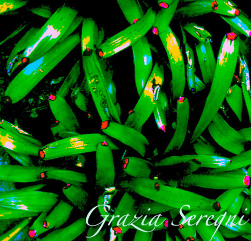 Arte Grazia vario 450 foglie seychelles