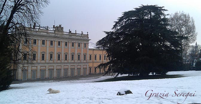 arte Grazia firma 672 Como Villa Olmo neve cane