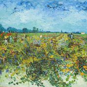 1506Vincent van GoghLa vigna verdeOlio su tela, cm 73,5 x 92,51888 VAN GOGH ARTE 5