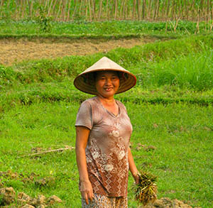 Vietnam 1ubc