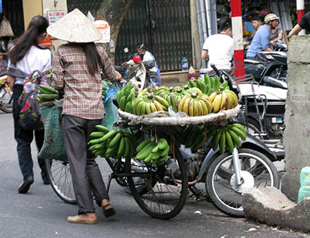 Vietnam 3 s
