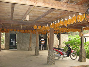 Vietnam na