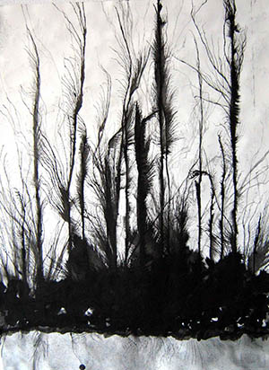 foresta-e-lago-china-su-carta-77-x-57-anno-2014web