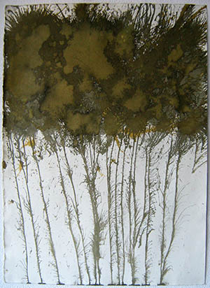 la mia foresta china colore su carta 78 x 56 anno 2014-2