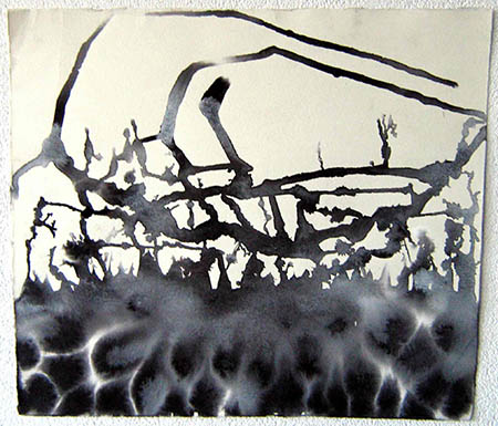 natura-metafisica-china-su-carta-46-x-40-anno-2014-web
