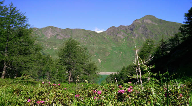 montagna 672 lago bosco vacanze svizzera IMG_20150702_101551