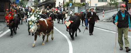 00 450 mucche val aosta Désarpa,