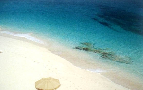 MARE 672 anguilla esotico blu