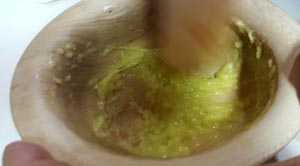 Spagna Catalogna 300 salsa aglioli cucina