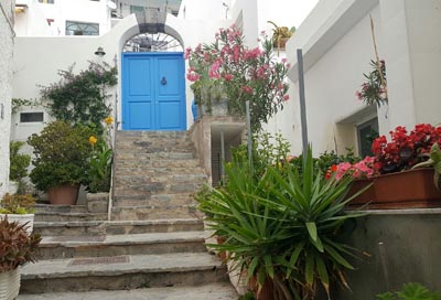 Ischia case fiori 7u