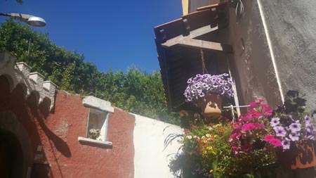 Ischia nella via piante e fiori ok