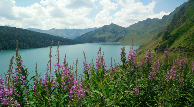 Risultati immagini per CAMMINARE SULLE ALPI SIâ€™, MA CON LENTEZZA LA MONTAGNA A PASSO LENTO