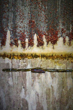 MOSTRA D