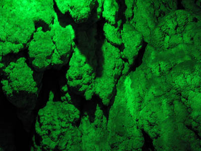 Osteno grotte di Rescia verde
