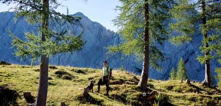 CANE AUSTRIA CARINZIA