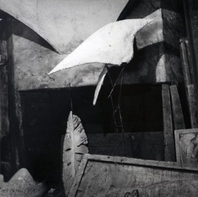 galleria-chiasso-cons-arc-joanfontcuberta-langedechu-1980-500x500-e1480175777703