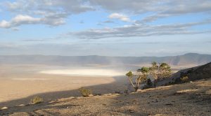 Open Mindi Afric Explorer