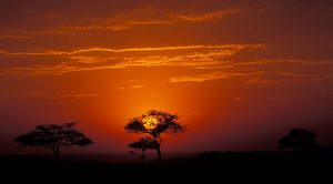 Open Mindi Afric Explorer