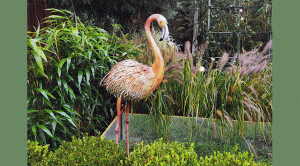 giardini