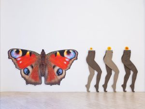 Anthea Hamilton, Soft You, Installation view, Fondazione Memmo, Roma ©DanieleMulaioli