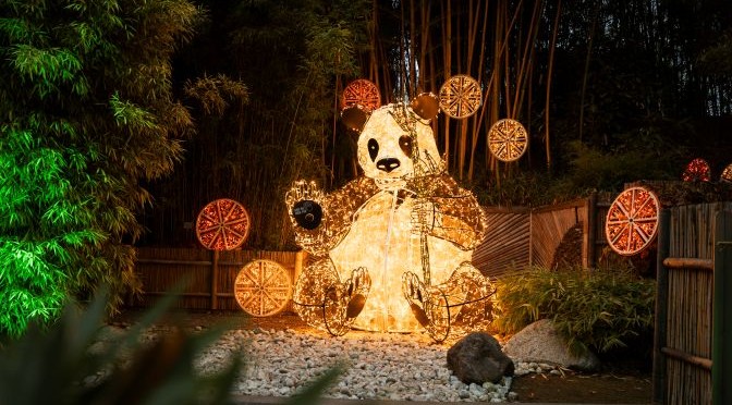 Merano luci castello