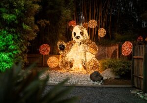 Merano luci castello